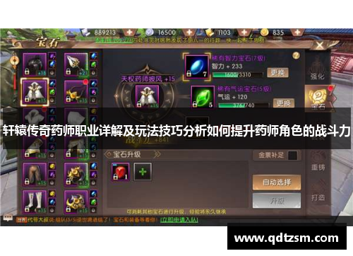 轩辕传奇药师职业详解及玩法技巧分析如何提升药师角色的战斗力